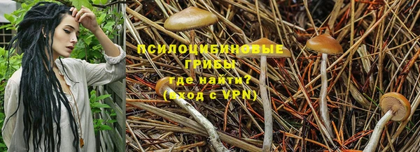 кокаин Алзамай