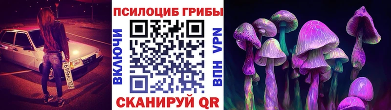 Псилоцибиновые грибы мицелий  Любим 